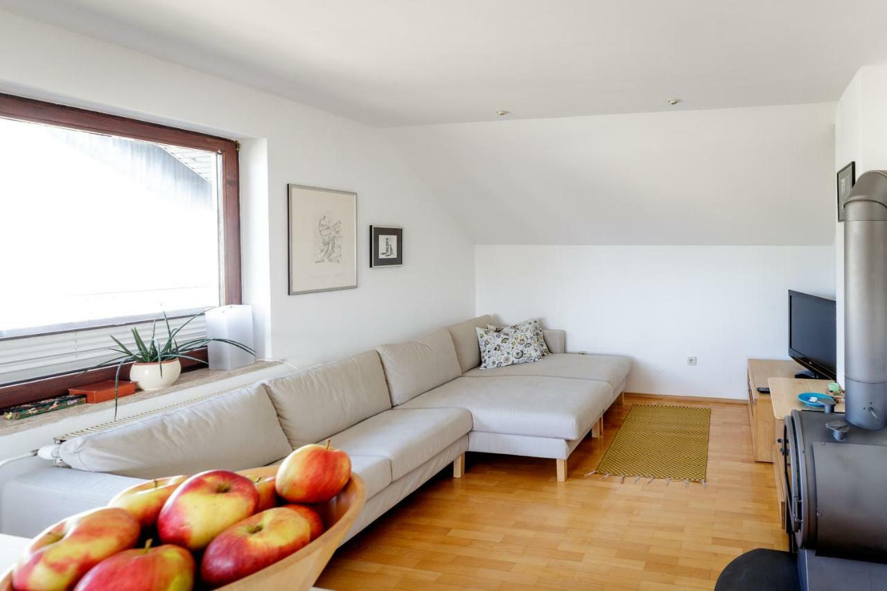Cosy & Spacious Apt. Benc Zirovnica Eksteriør billede
